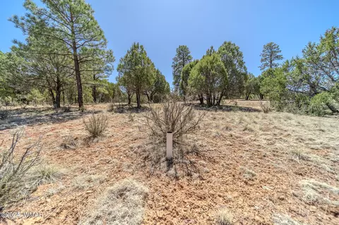 2244 Roundabout Way, Overgaard, AZ 85933 photo 17