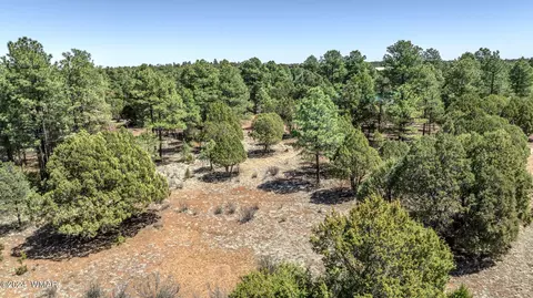 2244 Roundabout Way, Overgaard, AZ 85933 photo 5