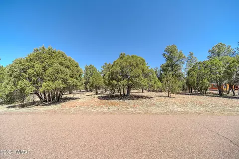 2244 Roundabout Way, Overgaard, AZ 85933 photo 9
