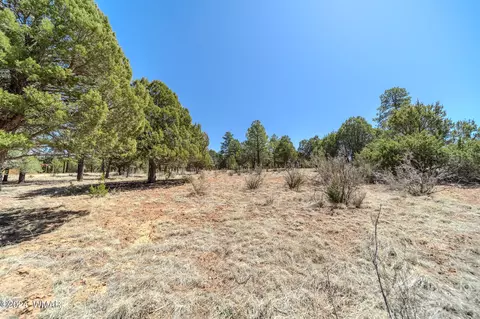 2244 Roundabout Way, Overgaard, AZ 85933 photo 10