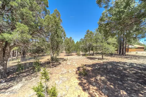 2244 Roundabout Way, Overgaard, AZ 85933 photo 11