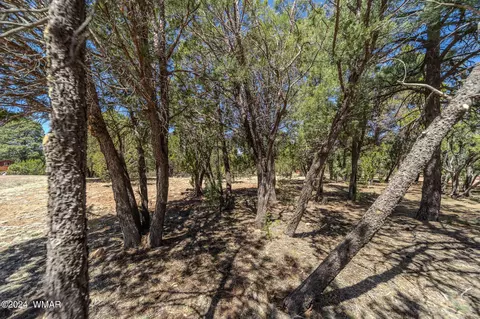 2244 Roundabout Way, Overgaard, AZ 85933 photo 24