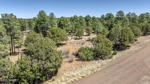 2244 Roundabout Way, Overgaard, AZ 85933 photo 6