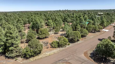 2244 Roundabout Way, Overgaard, AZ 85933 photo 2