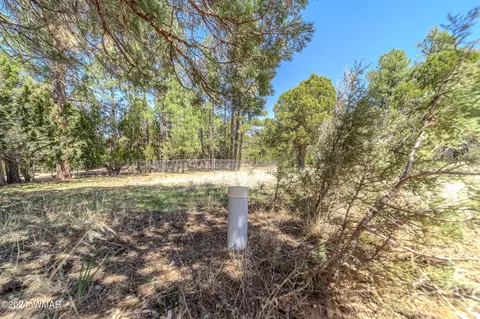 2244 Roundabout Way, Overgaard, AZ 85933 photo 16