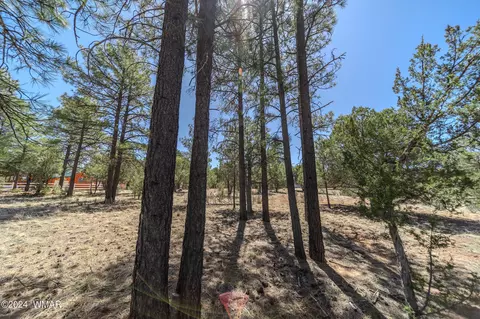 2244 Roundabout Way, Overgaard, AZ 85933 photo 22
