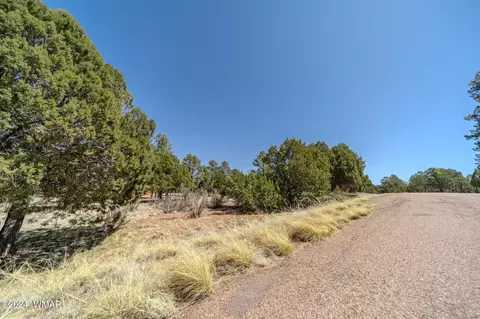 2244 Roundabout Way, Overgaard, AZ 85933 photo 15