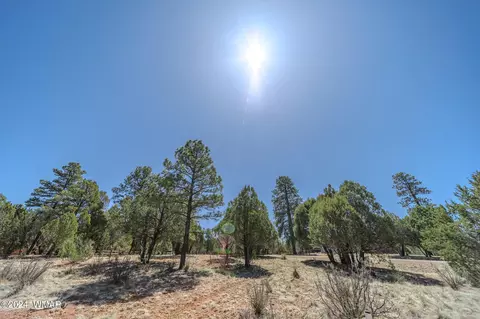 2244 Roundabout Way, Overgaard, AZ 85933 photo 18