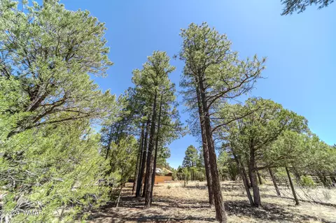2244 Roundabout Way, Overgaard, AZ 85933 photo 12