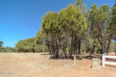 2244 Roundabout Way, Overgaard, AZ 85933 photo 8