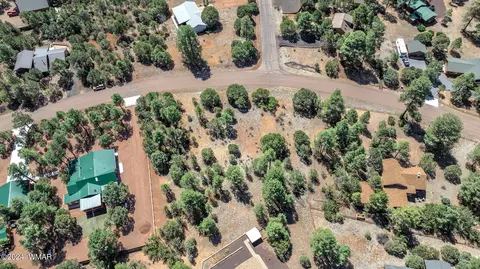 2244 Roundabout Way, Overgaard, AZ 85933 photo 4