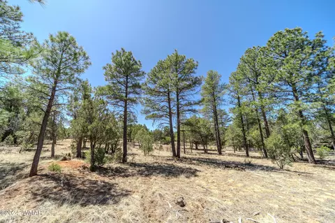 2244 Roundabout Way, Overgaard, AZ 85933 photo 13