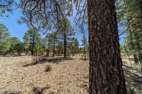 2244 Roundabout Way, Overgaard, AZ 85933 photo 23
