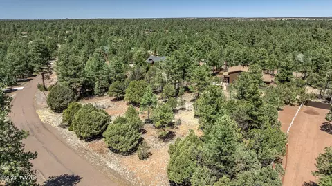 2244 Roundabout Way, Overgaard, AZ 85933 photo 25