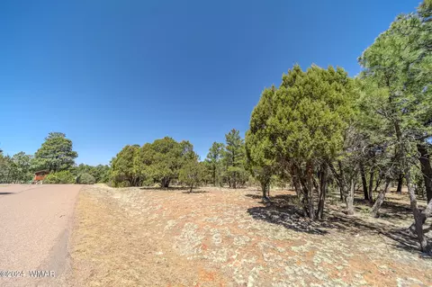 2244 Roundabout Way, Overgaard, AZ 85933 photo 14