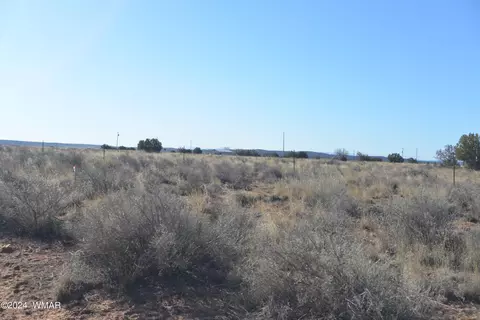 tbd E 1st S, Snowflake, AZ 85937 photo 4