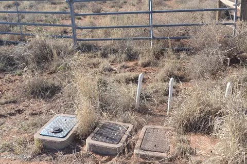 tbd E 1st S, Snowflake, AZ 85937 photo 3