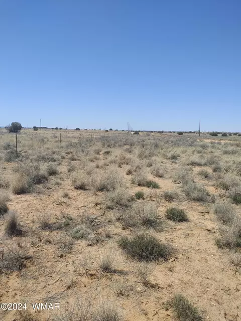 tbd E 1st S, Snowflake, AZ 85937 photo 5