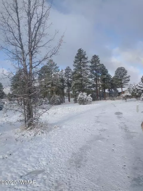Other - 2224 Forest Ln, Overgaard, AZ 85933 photo 13 of 14