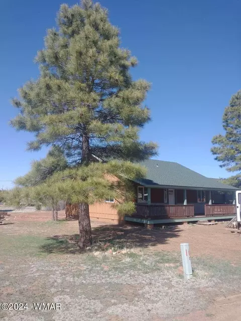 Exterior - 2224 Forest Ln, Overgaard, AZ 85933 photo 7 of 10