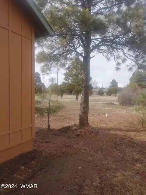 Exterior - 2224 Forest Ln, Overgaard, AZ 85933 photo 3 of 10