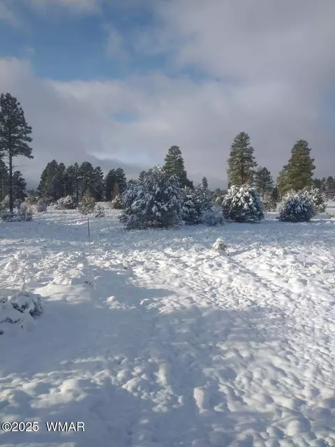 Other - 2224 Forest Ln, Overgaard, AZ 85933 photo 14 of 14