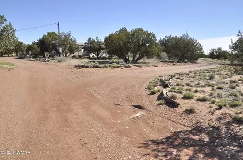 39 N9236, Concho, AZ 85924 photo 14