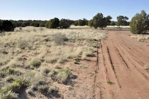 39 N9236, Concho, AZ 85924 photo 60