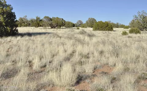39 N9236, Concho, AZ 85924 photo 64