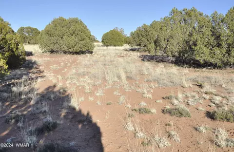 39 N9236, Concho, AZ 85924 photo 66
