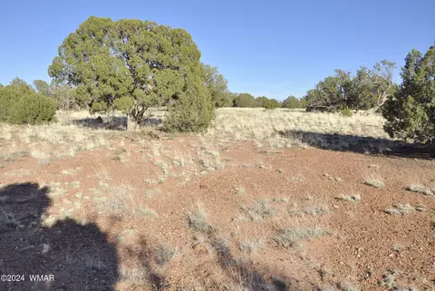 39 N9236, Concho, AZ 85924 photo 67