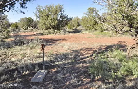 39 N9236, Concho, AZ 85924 photo 61