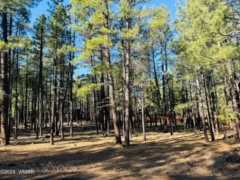 2936 Blue Lake Cir, Pinetop, AZ 85935