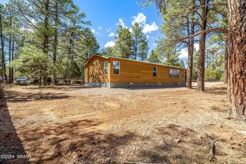 2892 Pine Rim Rd, Overgaard, AZ 85933 photo 17