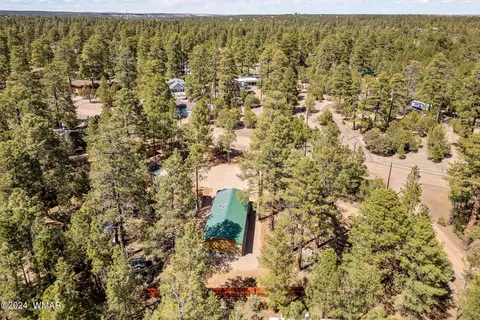 2892 Pine Rim Rd, Overgaard, AZ 85933 photo 28
