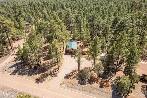 2892 Pine Rim Rd, Overgaard, AZ 85933 photo 24