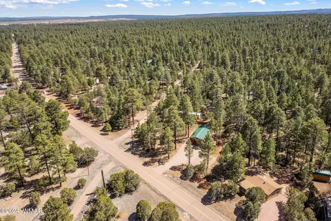2892 Pine Rim Rd, Overgaard, AZ 85933 photo 26
