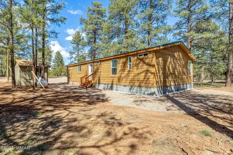 2892 Pine Rim Rd, Overgaard, AZ 85933 photo 4