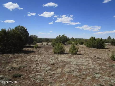 22 Charlene Dr, Concho, AZ 85924