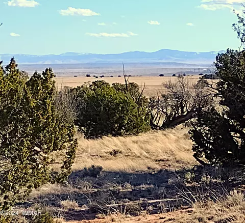 L-11 & 47 Carrizo Ranches, Saint Johns, AZ 85936