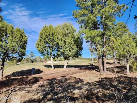 2221 S Monkshood Rd, Show Low, AZ 85901
