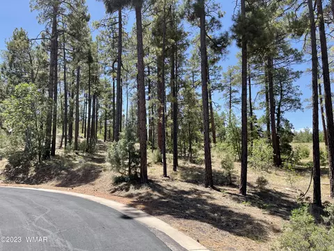 1960 Silvertree Ln, Show Low, AZ 85901