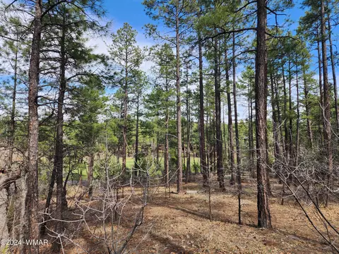 3950 Shaggy Bark Rd, Show Low, AZ 85901