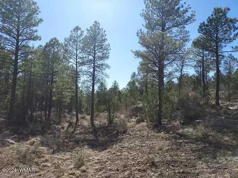 Par. 007f Chevelon Road, Heber, AZ 85928