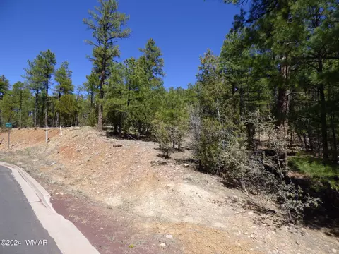 2401 S Hidden Ridge Trl, Show Low, AZ 85901