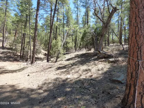 2451 S Hidden Ridge Trl, Show Low, AZ 85901