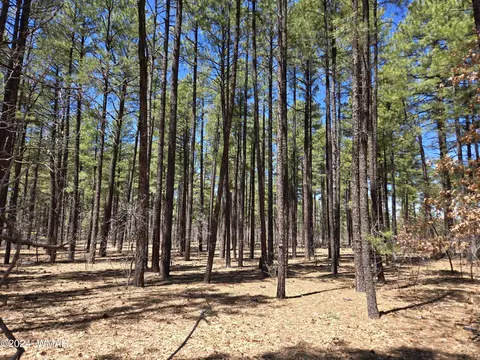 tbd English Dr, Pinetop, AZ 85935