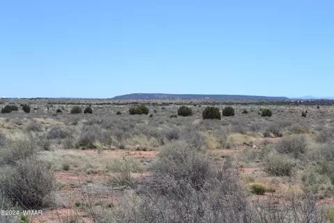 5073 White Antelope Rd, Snowflake, AZ 85937