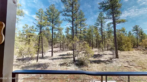 View/Area - 2963 Jacks Rd, Lakeside, AZ 85929 photo 4 of 10