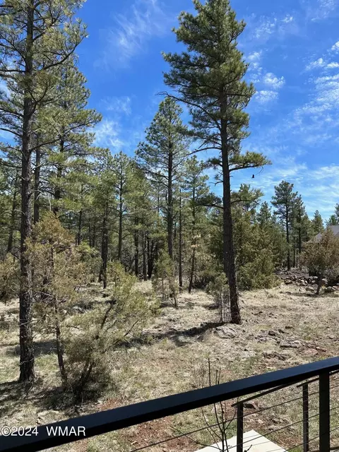 Other - 2963 Jacks Rd, Lakeside, AZ 85929 photo 4 of 5